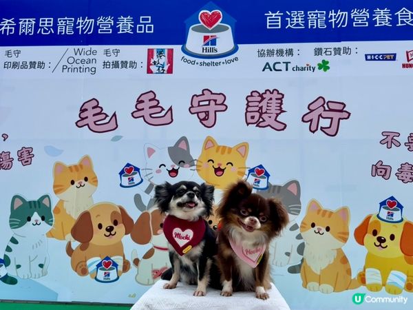 「毛毛守護行」