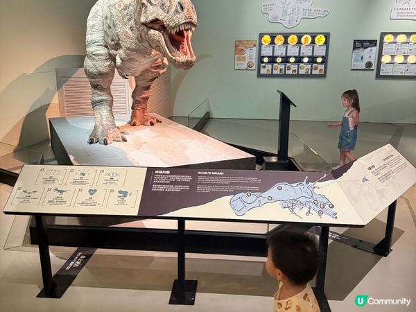 香港科學館親子遊！🔬👨‍👩‍👧‍👦 玩轉科學原理！