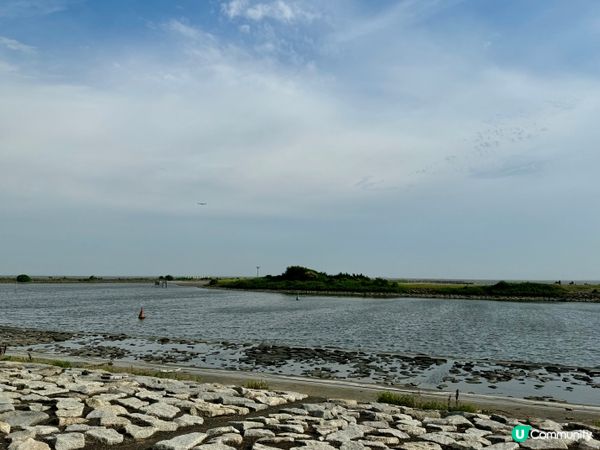 東京最靚海濱公園日落打卡地🌅