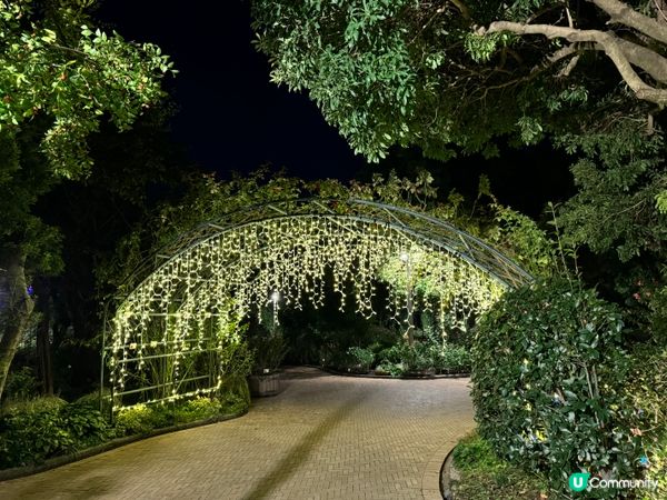 名古屋名花之里燈光秀✨！冬日限定光影盛宴！名古屋親子遊👶🏻