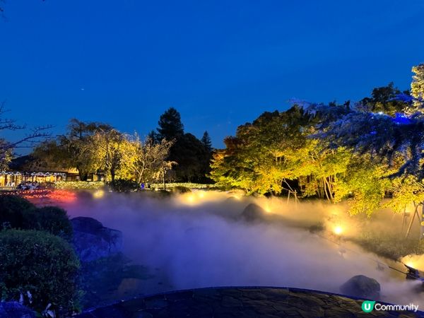 名古屋名花之里燈光秀✨！冬日限定光影盛宴！名古屋親子遊👶🏻