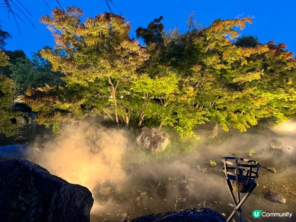 名古屋名花之里燈光秀✨！冬日限定光影盛宴！名古屋親子遊👶🏻