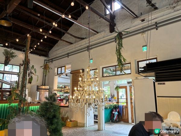 台灣嘉義｜廢溫室Greenhouse café，真的是在超大型溫室森林裡吃飯？！