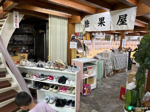 台灣嘉義｜廢溫室Greenhouse café，真的是在超大型溫室森林裡吃飯？！