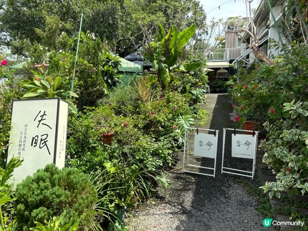 台灣嘉義｜廢溫室Greenhouse café，真的是在超大型溫室森林裡吃飯？！