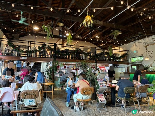 台灣嘉義｜廢溫室Greenhouse café，真的是在超大型溫室森林裡吃飯？！