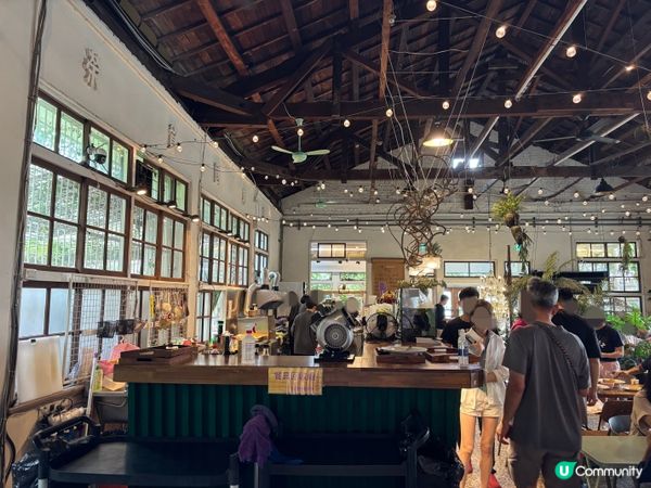 台灣嘉義｜廢溫室Greenhouse café，真的是在超大型溫室森林裡吃飯？！