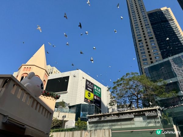 深圳內的米蘭小鎮😍搶眼葡萄牙電車😎打卡攻略！🇪🇺✨