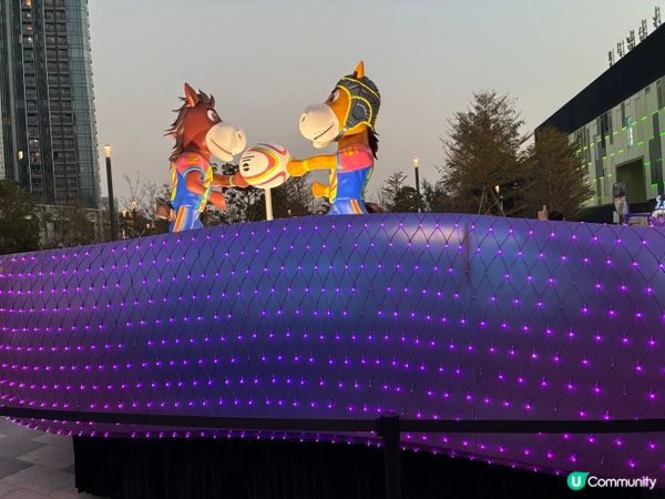 新年一定要去看花車