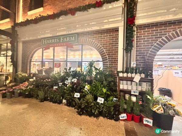 澳洲/布里斯班高質Harris Farm超市攻略