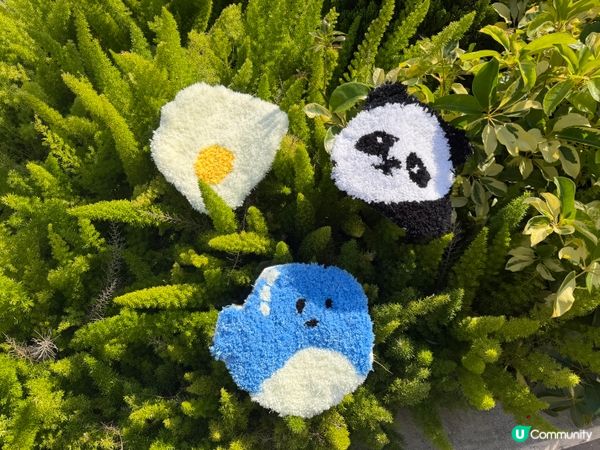 TUFTING❤️手作地毯體驗工作坊🥰🥰💖😍