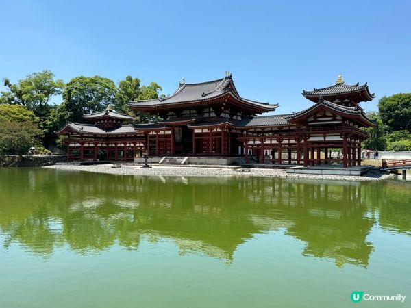 宇治必去💚平等院千年歷史🍵