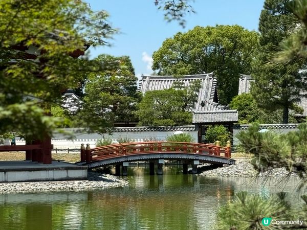 宇治必去💚平等院千年歷史🍵