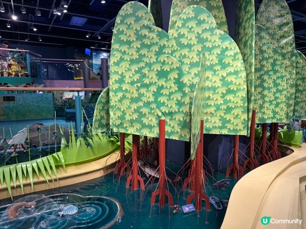 親子好去處🔥大量玩具、圖書、室內探索、多個學習遊戲區