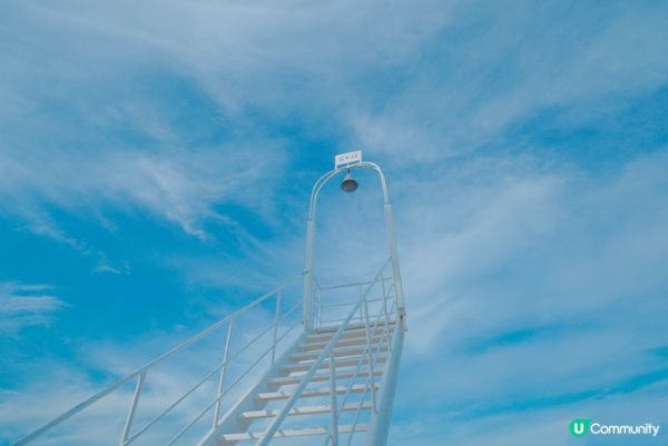 福岡糸島棕櫚樹鞦韆ﾔｼの木好好影,又好近海邊,無入場費,影幾...