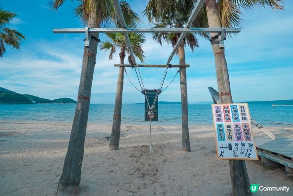 福岡糸島棕櫚樹鞦韆ﾔｼの木好好影,又好近海邊,無入場費,影幾...