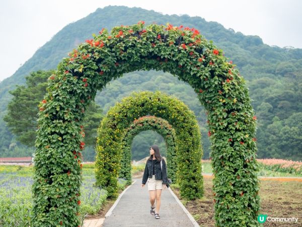 廣州石門森林公園，自駕遊必去！🌳🚗