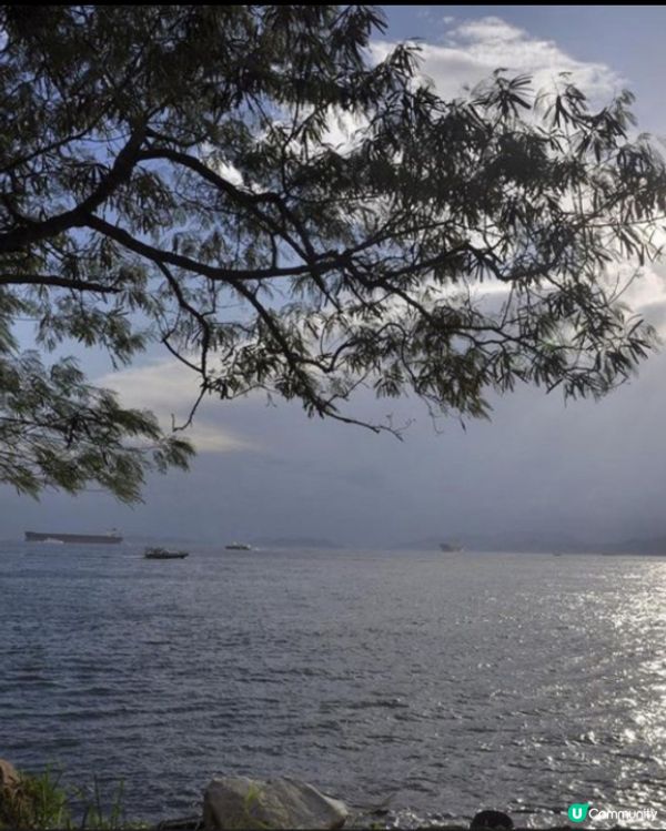 西環好去處-沙灣徑