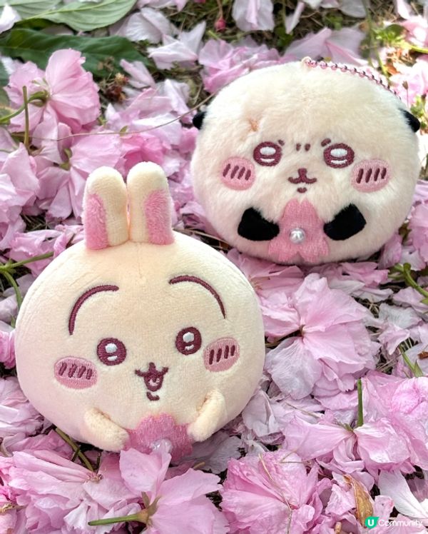 啲表情包超百搭！