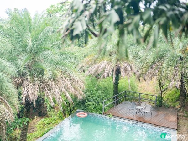 山林秘境民宿 ⛰️ 隱世仙境，逃離煩囂！