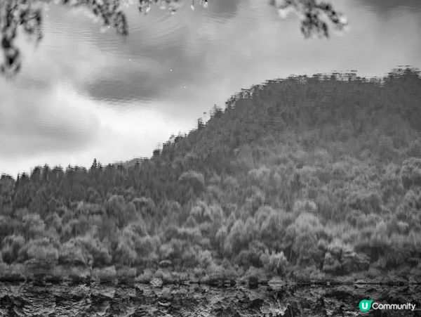 估唔到廣州有寶藏！🤫🌳