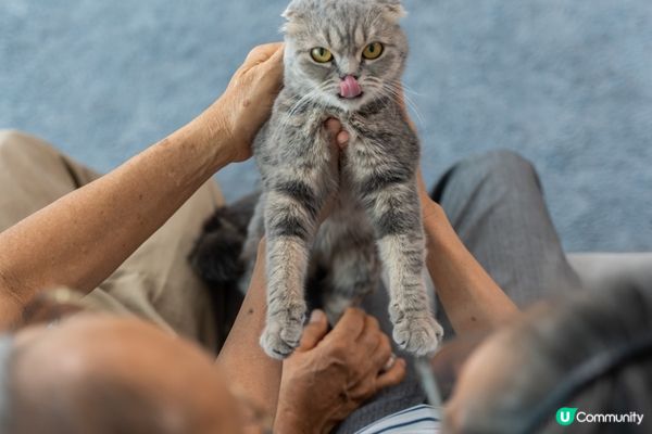 有時鐘意攬住你，但要睇佢心情。#主子SPATime