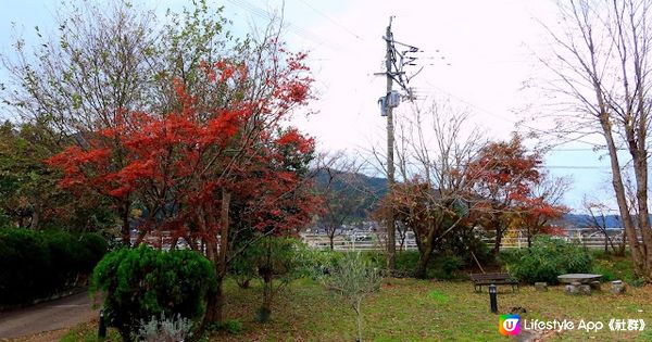 【大分縣體驗】由布院郊外民宿初嘗斷食！金鱗湖賞紅葉
