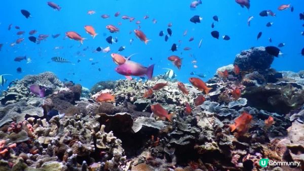 【復活節峇里島之旅】峇里島7天自由行行前準備攻略、詳細行程大公開! 😃