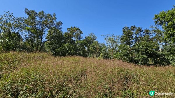 五塊田至清水灣道，路線簡單容易行，風景又非常之美麗，週末來一...