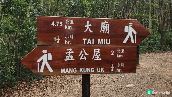 五塊田至清水灣道，路線簡單容易行，風景又非常之美麗，週末來一...