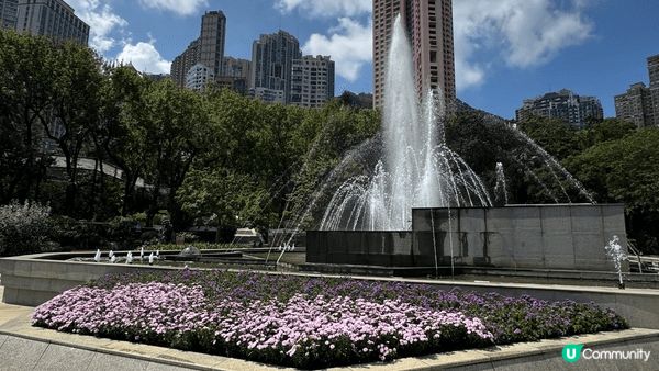 非常值得推介的免費親子景點之一：香港動植物公園。不論大人細路...
