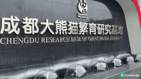 很開心终於看到很多非常可愛的熊貓，雖然見不到「花花」，但也很...