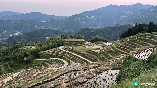 梯田。不論日夜，無論點影都係一個美景。但行山。就消耗咗一半力...