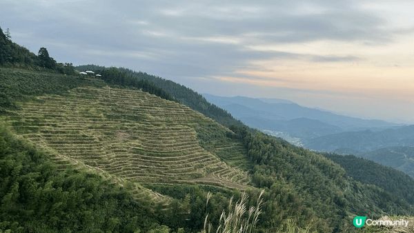 梯田。不論日夜，無論點影都係一個美景。但行山。就消耗咗一半力...