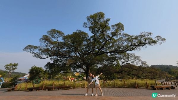 一個值得去的清遠長隆，可以近距離接觸不同動物！