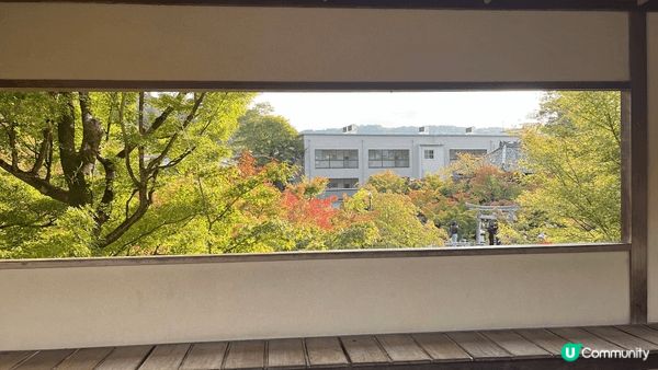 永觀堂的楓葉季真係好靚，每到秋天，樹葉變成深紅、橙色，彷彿大...