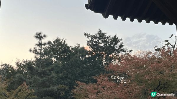 永觀堂的楓葉季真係好靚，每到秋天，樹葉變成深紅、橙色，彷彿大...