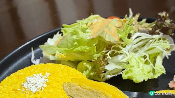 【💚入素｜🍚維肖維妙素海南雞飯】