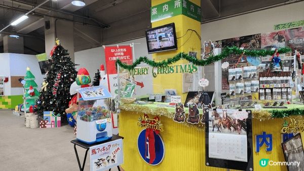 【鋪草皮鋪到北海道】帶廣賽馬場初體驗🐴