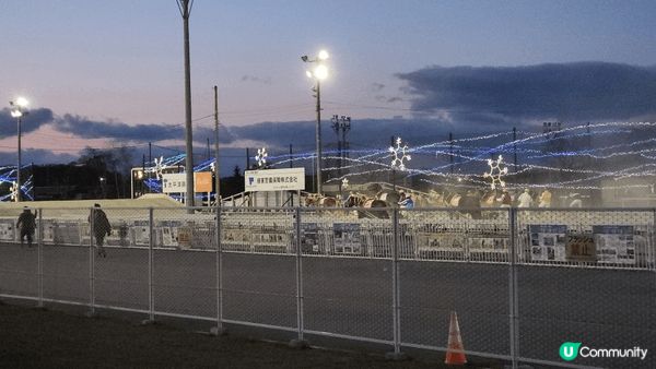 【鋪草皮鋪到北海道】帶廣賽馬場初體驗🐴
