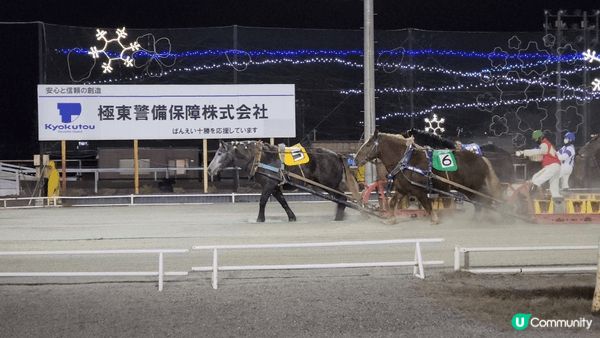【鋪草皮鋪到北海道】帶廣賽馬場初體驗🐴
