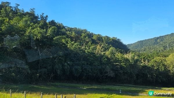 台中日月潭環境超靚美景，空氣好清新，必去旅行地方！👍
