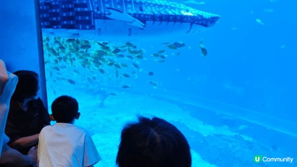 小梅沙水族館是親子渡假勝地,孩子可以近距離觀察海洋生物,探索...