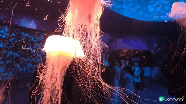 小梅沙水族館是親子渡假勝地,孩子可以近距離觀察海洋生物,探索...