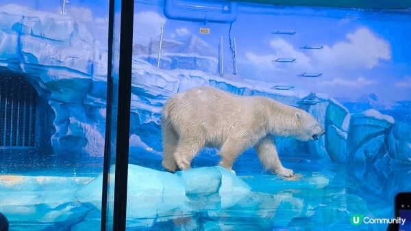 小梅沙水族館是親子渡假勝地,孩子可以近距離觀察海洋生物,探索...