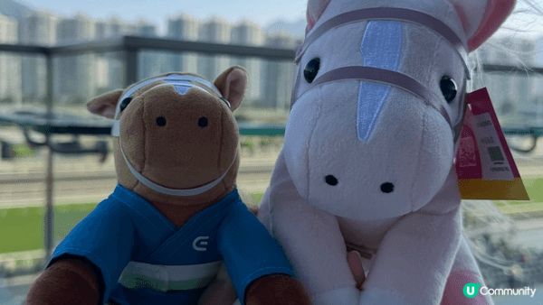 沙田馬場全新地標「天馬驛」，絕對是數碼打卡迷必到熱點！這裏是...