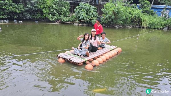 呢度係可以玩樹屋的營地, 就在香港, 小孩很少可以接觸大自然...