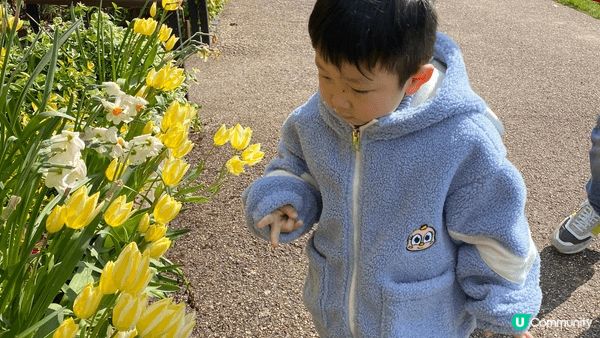 帶著🐷🐷去旅行～在英國無懼寒冷，享受親子時光，去到邊，影到邊...