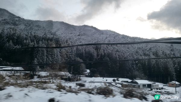 日本冬天嘅雪景真係點影都靚❄☃️期待下年又去影多啲靚相