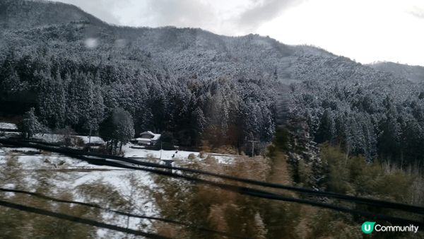 日本冬天嘅雪景真係點影都靚❄☃️期待下年又去影多啲靚相